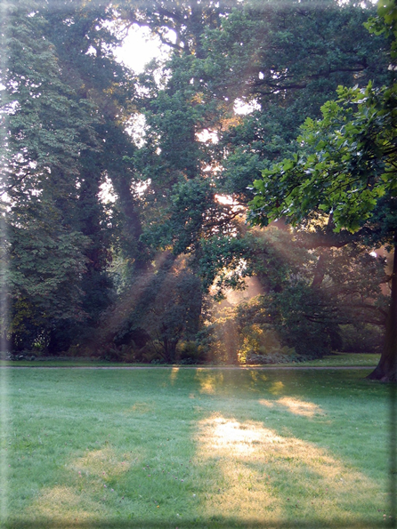 foto Alba al Parco Karlsaue